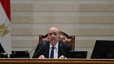 البرلمان يوافق على اتفاقيات مشروع القطار الكهربائي بالعاشر من رمضان