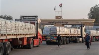 جسر الإغاثة مستمر.. الهلال الأحمر المصري يدفع بـ1850 طن مساعدات جديدة إلى غزة