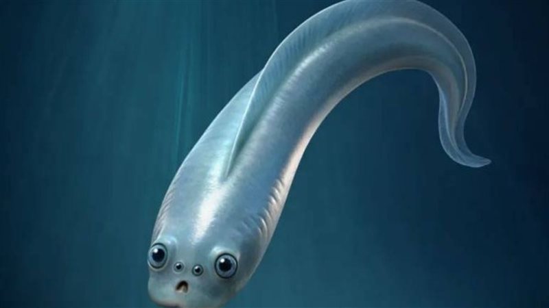 صورة تعبيرية 