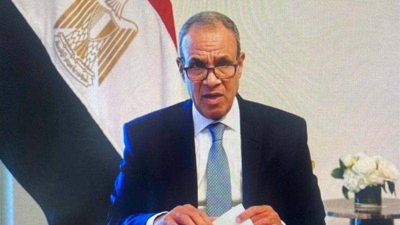 الدكتور بدر عبد العاطي وزير الخارجية