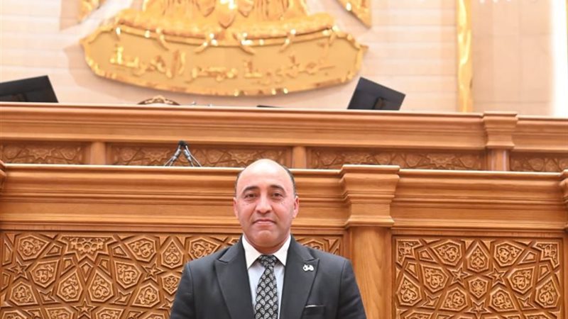 النائب حسام حسن