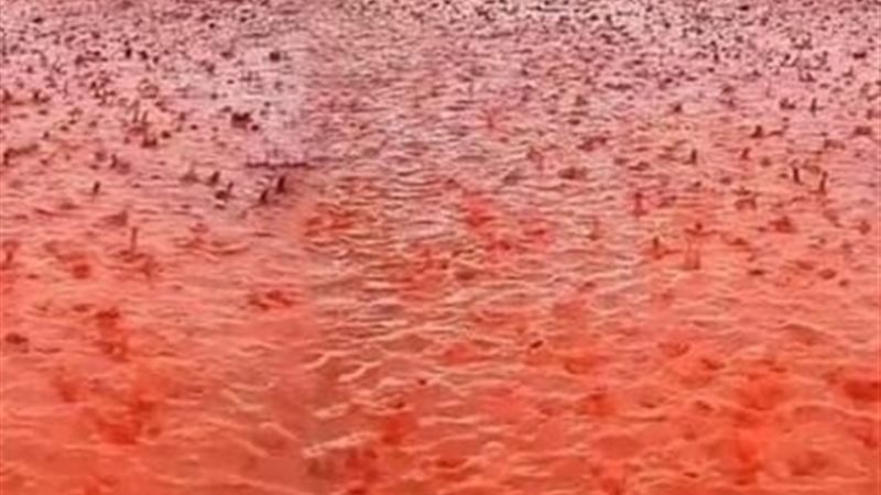 أمطار دموية في بريطانيا