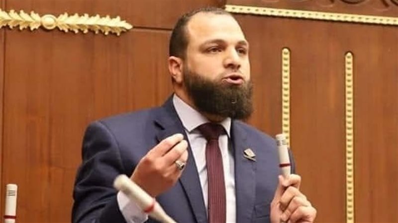 النائب محمود تركي