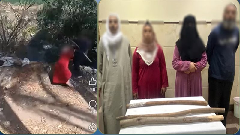 جانب من المتابعة