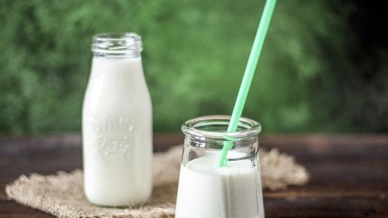 اللبن الرائب