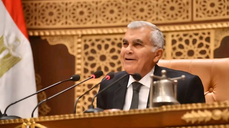 المستشار عصام الدين فريد، رئيس مجلس الشيوخ 