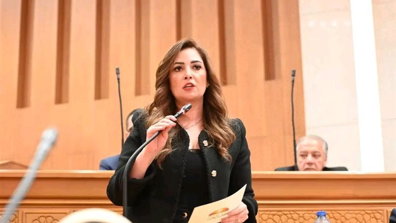 النائبة أميرة العادلي