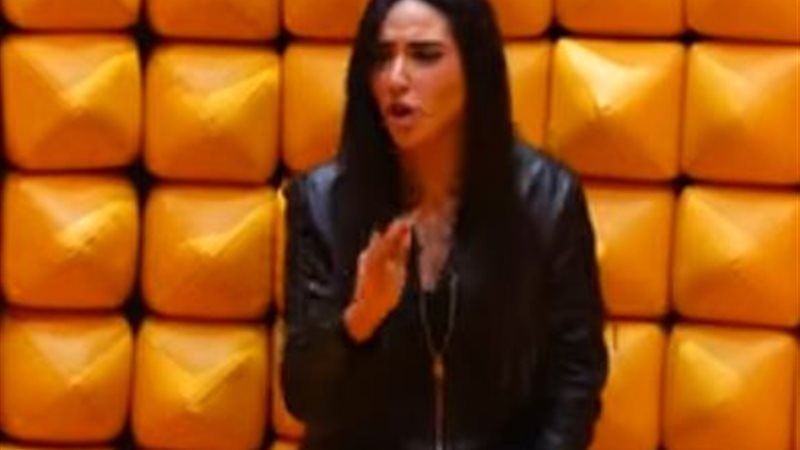 الفنانة آية سماحة