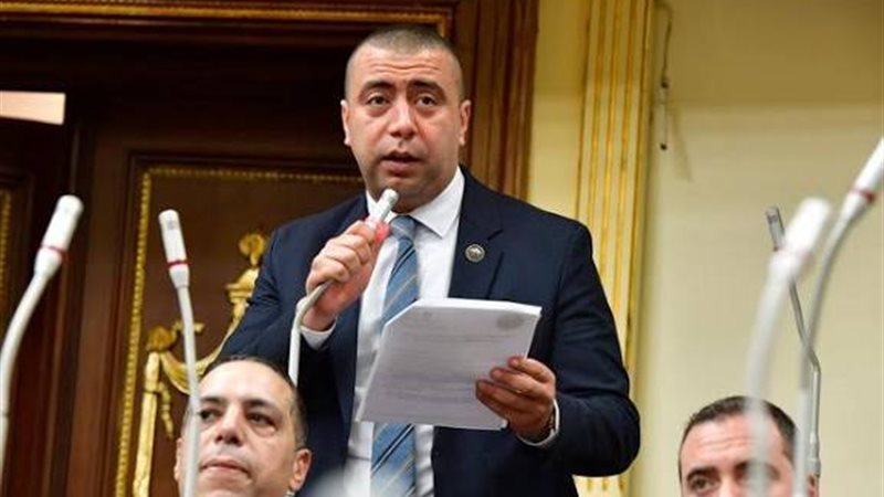 النائب أحمد شلبي