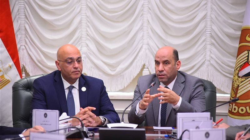 وزير العمل وباسل