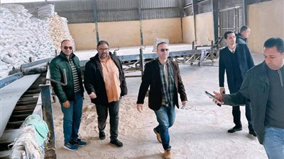 الزراعة تشن حملات تفتيش مفاجئة على مصانع ومخازن الأعلاف في 10 محافظات