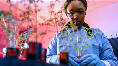 العلماء ينجحون لأول مرة في تجربة زراعة الخضراوات بتربة القمر 