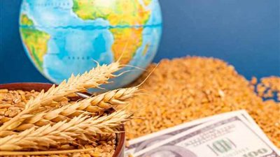 الحرب تهدد الأمن الغذائي.. اضطراب إمدادات الغاز والأسمدة يرفع مخاطر ارتفاع أسعار الغذاء