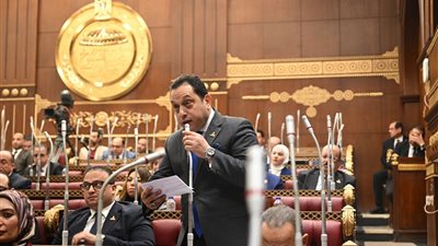  الجندي يتساءل عن مدى التزام الدولة بالاستحقاق الدستوري للبحث العلمي