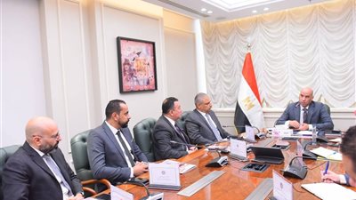 صادرات ضفائر السيارات تتجاوز 100 مليون يورو.. الحكومة تبحث دعم ليوني مصر