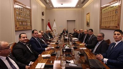 وزير العدل يستقبل رئيس وأعضاء اللجنة التشريعية بمجلس الشيوخ