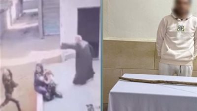 ضبط المتهم بضرب سيدة بعصا خشبية بعد تداول الفيديو على مواقع التواصل 