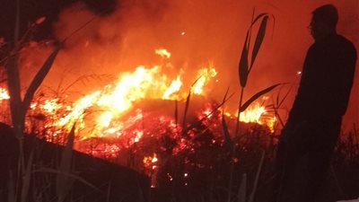 الحماية المدنية بالجيزة تخمد حريقًا بأرض فضاء في الصف قبل امتداده للمنازل