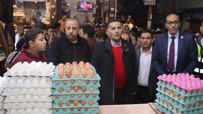 حملات مفاجئة لحماية المستهلك بالقليوبية تضبط 9 مخالفات بأسواق السلع