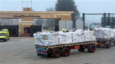 قافلة مصرية جديدة تنقل 2700 طن مساعدات إنسانية إلى غزة