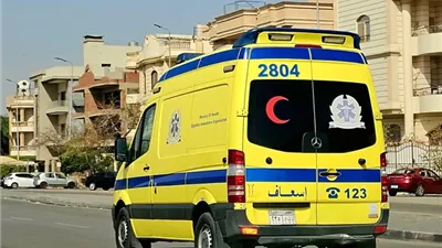 بسبب الخلافات الأسرية.. شاب ينهي حياته بطلق ناري داخل منزله في سمالوط