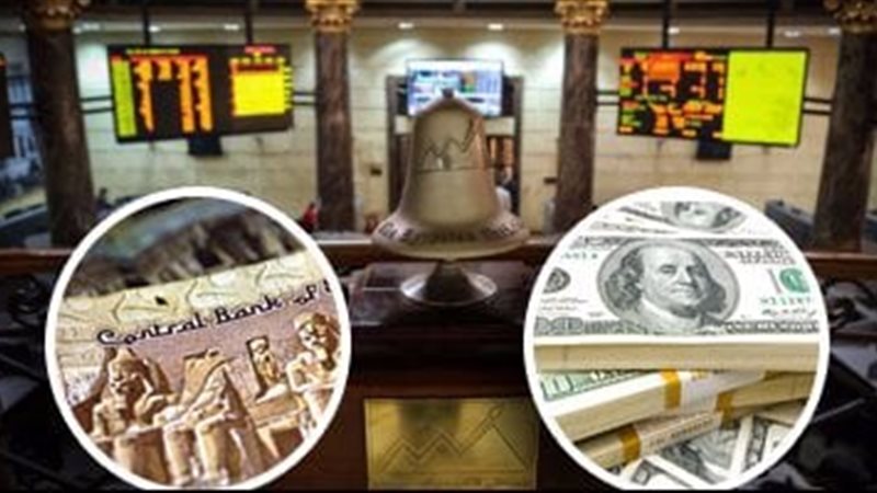 البورصة - الدولار - الجنيه