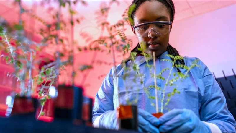 نجاح تجربة الزراعة في تربة القمر