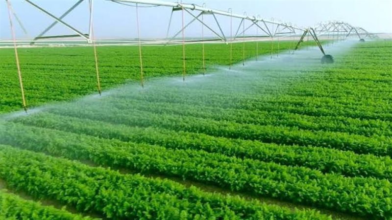 صورة موضوعية