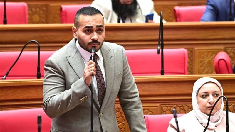 النائب أحمد ناصر،