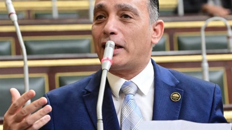 النائب فريدي البياضي،