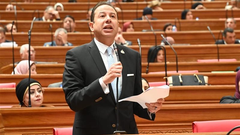 النائب حسن عمار،