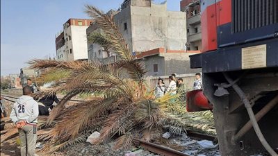 سقوط نخلة على السكة الحديد يربك حركة القطارات قبل محطة سيدي جابر