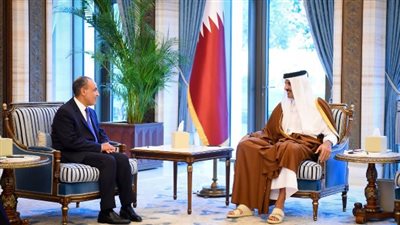 توجيهات رئاسية.. وزير الخارجية ينقل رسالة دعم لقطر ويبحث خفض التصعيد الإقليمي