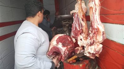 ضبط 206 مخالفات و200 كيلو فراخ فاسدة في حملة بالمنيا