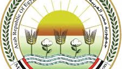 الزراعة تشدد إجراءات ترشيد الطاقة وترفع الاستعدادات لتأمين الأسواق