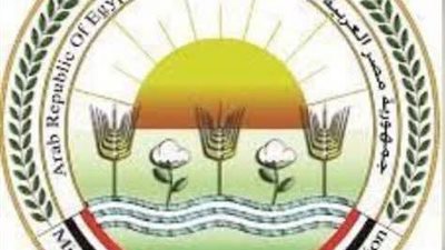 الزراعة: نؤكد التزامنا الكامل بدعم المزارع المصري وتوفير كافة السبل لاستدامة الإنتاج