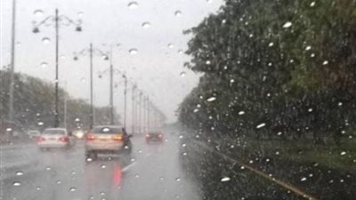 أمطار ورياح.. الأرصاد تحذر أهالي البحيرة من تقلبات الطقس اليوم 