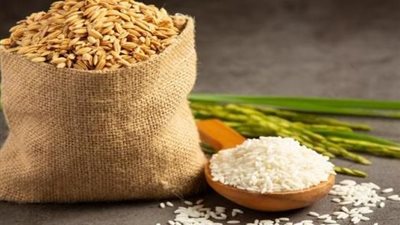 زكاة الفطر حبوب أم نقود؟.. الإفتاء توضح الحكم الشرعي وقيمة الحد الأدنى