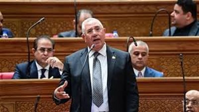 البرلمان يتدخل لإنقاذ عمال وبريات سمنود.. إجراءات ملموسة لإنهاء الأزمة