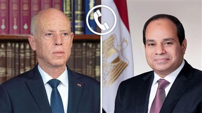 الرئيس السيسي يبحث مع نظيره التونسي تطورات الأوضاع الإقليمية 