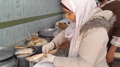 حملات بيطرية مكثفة بالمنيا تضبط 177 كيلو لحوم وأسماك فاسدة