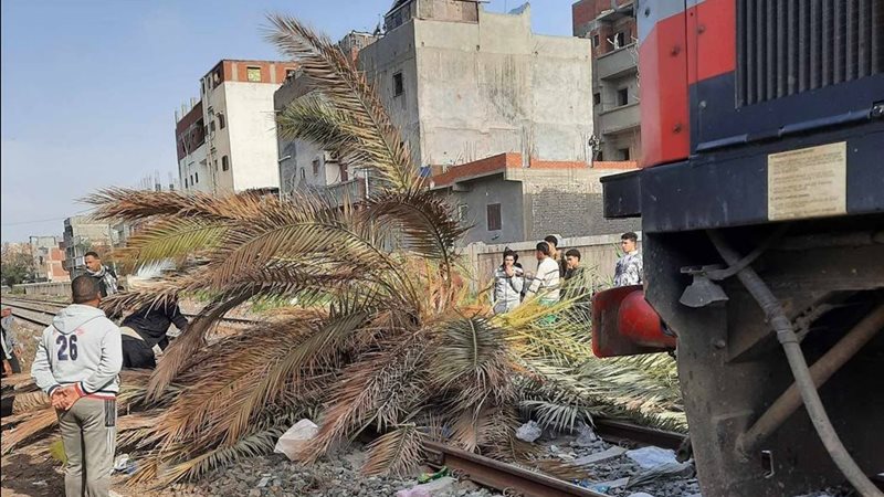 سقوط نخلة أمام قطار