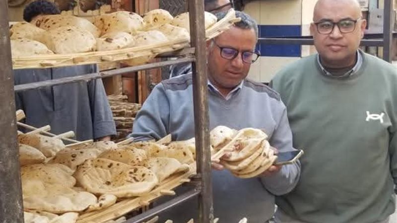 تموين المنيا 