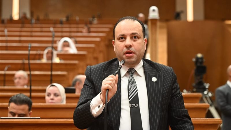 النائب وليد خطاب عضو مجلس النواب 