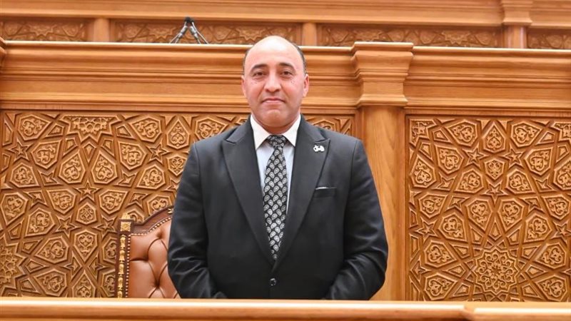 النائب حسام حسن عضو