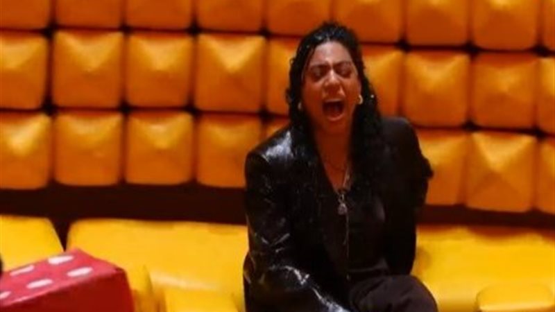 الفنانة دنيا سامي