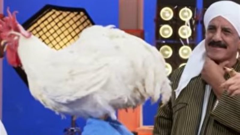 محمد لطفي في برنامج «ألف ليلة وليلة»