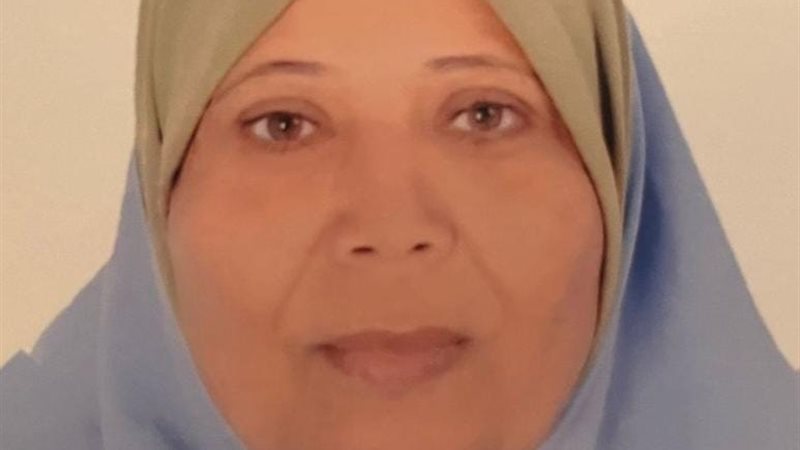 الام المثالية