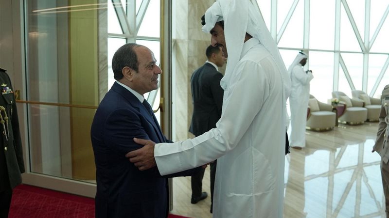  الرئيس عبد الفتاح السيسي