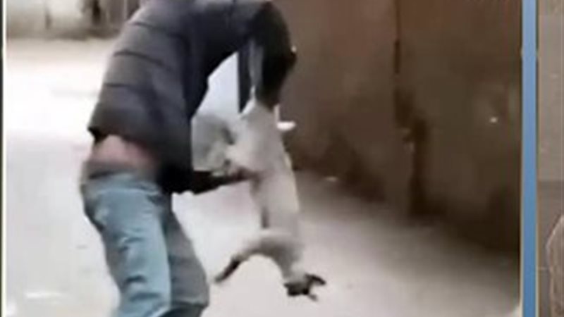 المتهم بالتعدي على